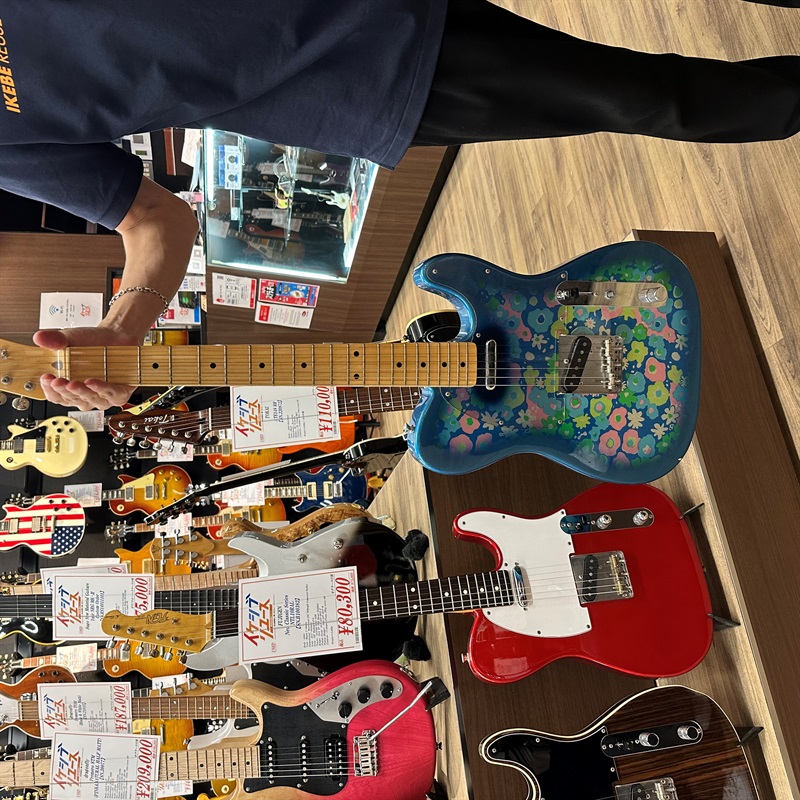 Fender Japan TL69BLF Blue Flowerの画像